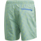 adidas Check CLX Badeshorts Herren FJ3396 - semi solar slime 4 (S)