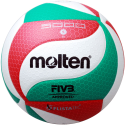 molten DVV 1 offizieller Volleyball Spielball V5M5000-DE...