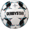 10er Ballpaket DERBYSTAR Brillant S-Light 290g Leicht-Fußball DB weiß/blau/schwarz 5
