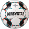 10er Ballpaket DERBYSTAR Junior Light 290g Leicht-Fu&szlig;ball wei&szlig;/gr&uuml;n/schwarz 5