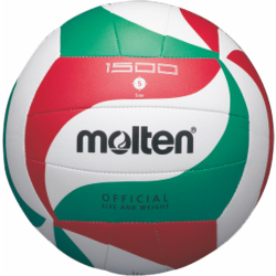 10er Ballpaket molten Volleyball Trainingsball...
