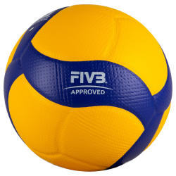 10er Ballpaket MIKASA V200W &Ouml;VV Volleyball