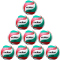 10er Ballpaket molten DVV 1 offizieller Volleyball Spielball V5M5000-DE Gr. 5