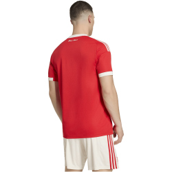 adidas 1. FC Union Berlin Sondertrikot 2025/2026 Herren