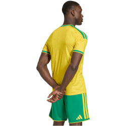 adidas SAFA Südafrika Heimtrikot 2026 Herren