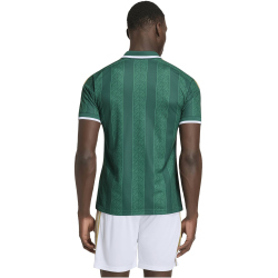 adidas SAFA Südafrika Auswärtstrikot 2026 Herren