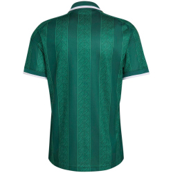 adidas SAFA Südafrika Auswärtstrikot 2026 Herren