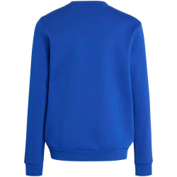 adidas Entrada 26 Sweatshirt Kinder JZ6553 - team royal blue/white 116