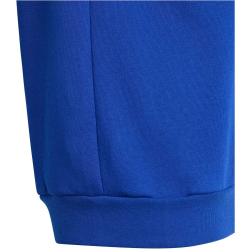 adidas Entrada 26 Sweatshirt Kinder JZ6553 - team royal blue/white 116