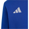 adidas Entrada 26 Sweatshirt Kinder JZ6553 - team royal blue/white 116