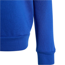 adidas Entrada 26 Sweatshirt Kinder JZ6553 - team royal blue/white 128