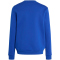 adidas Entrada 26 Sweatshirt Kinder JZ6553 - team royal blue/white 128