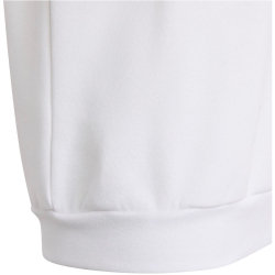adidas Entrada 26 Sweatshirt Kinder JZ6555 - white/black 104