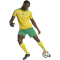 adidas SAFA Südafrika Heimtrikot 2026 Herren KY2209 - team yellow S