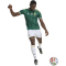 adidas SAFA Südafrika Auswärtstrikot 2026 Herren KY2217 - team dark green/team green S