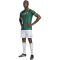adidas SAFA Südafrika Auswärtstrikot 2026 Herren KY2217 - team dark green/team green S