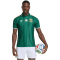 adidas SAFA Südafrika Authentic Auswärtstrikot 2026 Herren KY2222 - team dark green/team green S