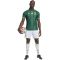 adidas SAFA Südafrika Authentic Auswärtstrikot 2026 Herren KY2222 - team dark green/team green S