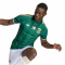adidas SAFA Südafrika Authentic Auswärtstrikot 2026 Herren KY2222 - team dark green/team green S