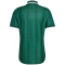 adidas SAFA Südafrika Authentic Auswärtstrikot 2026 Herren KY2222 - team dark green/team green S