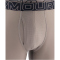 3er Pack UNDER ARMOUR Performance Tech Solid 6" Boxershorts Herren 254 - taupe dusk S
