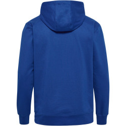 hummel hmlGO 2.0 Kapuzenjacke
