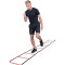 Pure2Improve Trainingsleiter Pro
