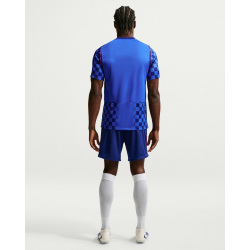 NIKE Kroatien Stadium Dri-FIT Auswärtstrikot Herren