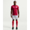 NIKE Polen Stadium Dri-FIT Auswärtstrikot Herren