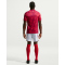 NIKE Polen Stadium Dri-FIT Auswärtstrikot Herren