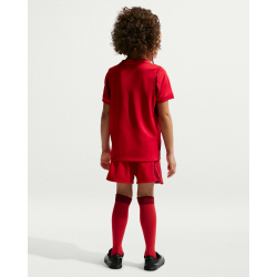 NIKE Türkei Stadium Dri-FIT Heim-Minikit Kinder