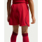 NIKE Türkei Stadium Dri-FIT Heim-Minikit Kinder