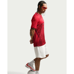 NIKE Türkei Stadium Dri-FIT Heimtrikot Herren