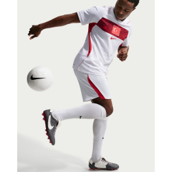NIKE Türkei Match Dri-FIT ADV Auswärtstrikot Herren