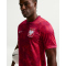 NIKE Polen Stadium Dri-FIT Auswärtstrikot Herren 625 - noble red/sport red/(white) S