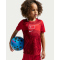 NIKE Türkei Stadium Dri-FIT Heim-Minikit Kinder 614 - sport red/team red/(white) L (116-122 cm)