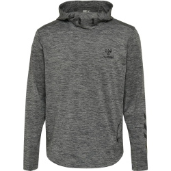hummel hmlASTON Freizeit Hoodie Herren dark grey melange L