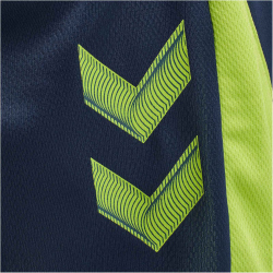 hummel LEAD Trainer Shorts