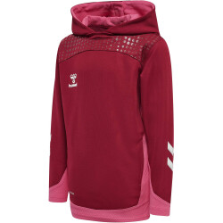 hummel LEAD Polyester Hoodie Kinder biking red 116