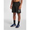 hummel LEAD Trainer Shorts black S