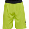 hummel LEAD Pro Trainingshose kurz lime punch S