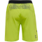 hummel LEAD Pro Trainingshose kurz lime punch M