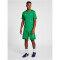 hummel LEAD kurzarm Polyester Trikot jelly bean M
