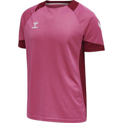 hummel LEAD kurzarm Polyester Trikot Kinder raspberry...