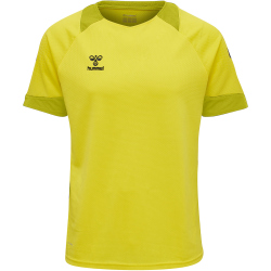 hummel LEAD kurzarm Polyester Trikot Kinder blazing...