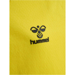 hummel LEAD kurzarm Polyester Trikot Kinder blazing...