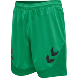 hummel LEAD Polyester Shorts jelly bean S