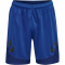 hummel LEAD Polyester Shorts true blue XL
