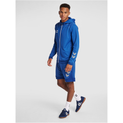 hummel LEAD Zip Polyester Hoodie true blue S