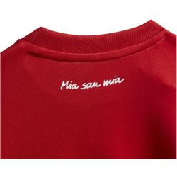 adidas FC Bayern M&uuml;nchen Minikit Babys fcbtru 68